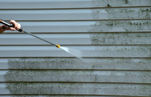 Best Deck Cleaning Services  in Evergreen, CO